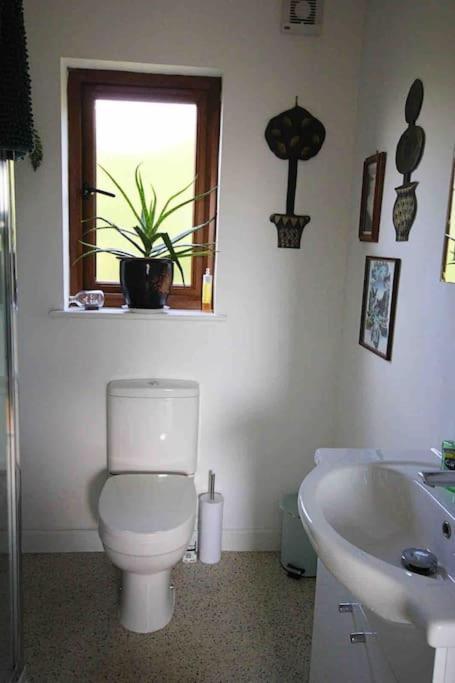 Spacious Cabin On Isolated Farm With Sea View 布德 外观 照片